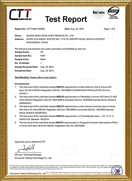 CTT Detection Report