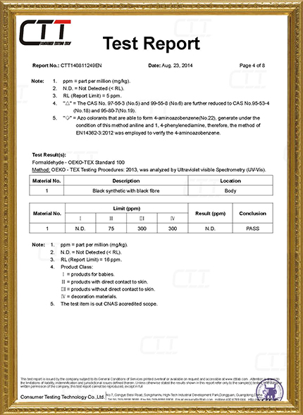 CTT Detection Report...